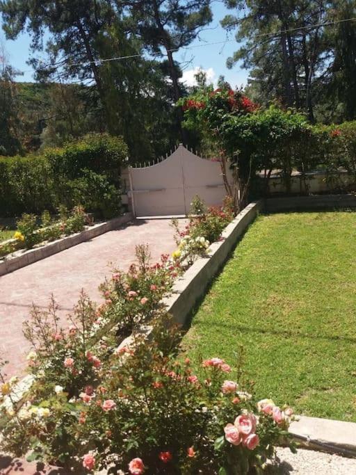 Greek Style Ground Floor Apartment & Pool Ιαλυσός Ρόδος Εξωτερικό φωτογραφία